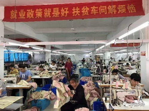 鳳陽一年輕人辦的這個廠,產品出口美國 德國 意大利.....