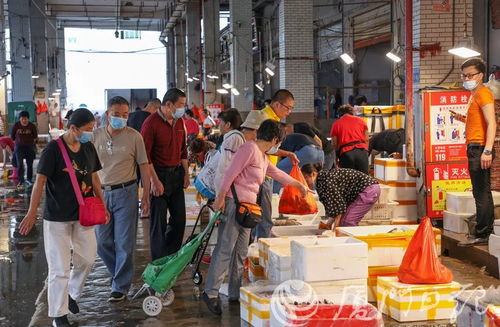 福建首個 廈門即將實施 買賣海鮮注意了