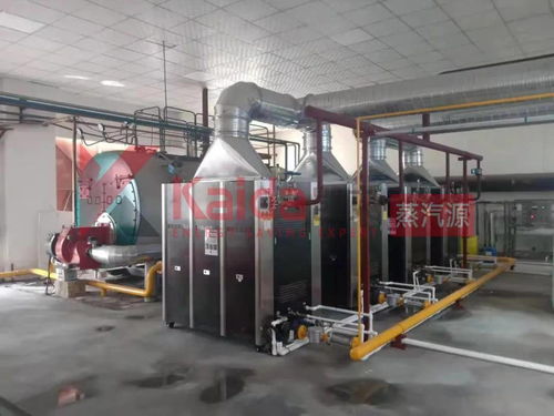 真低氮選凱大 食品廠4臺1t超低氮變頻蒸汽源機組完美替換4t傳統燃氣鍋爐