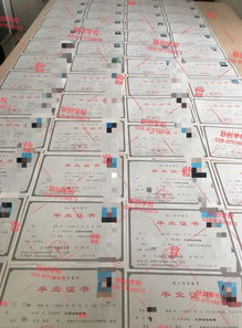 圖 成都龍泉驛正規(guī)學(xué)歷自考成考網(wǎng)教電大專科本科專本套讀 成都學(xué)歷教育