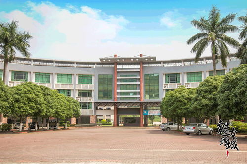 再見，增城電大